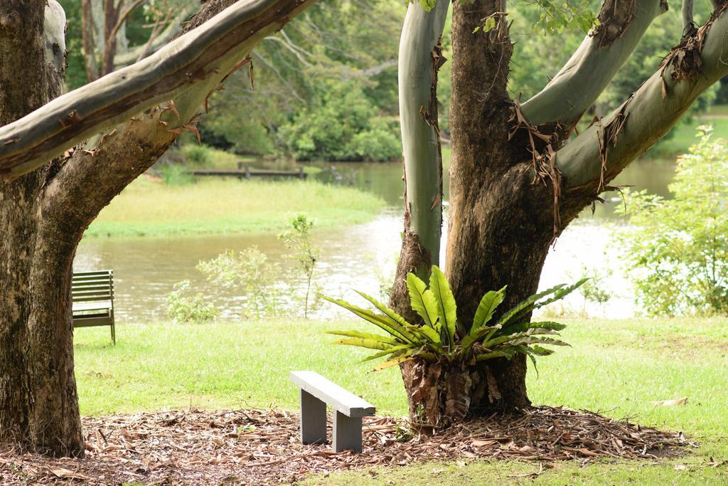 Mccarthy Lake House Maleny Exterior photo